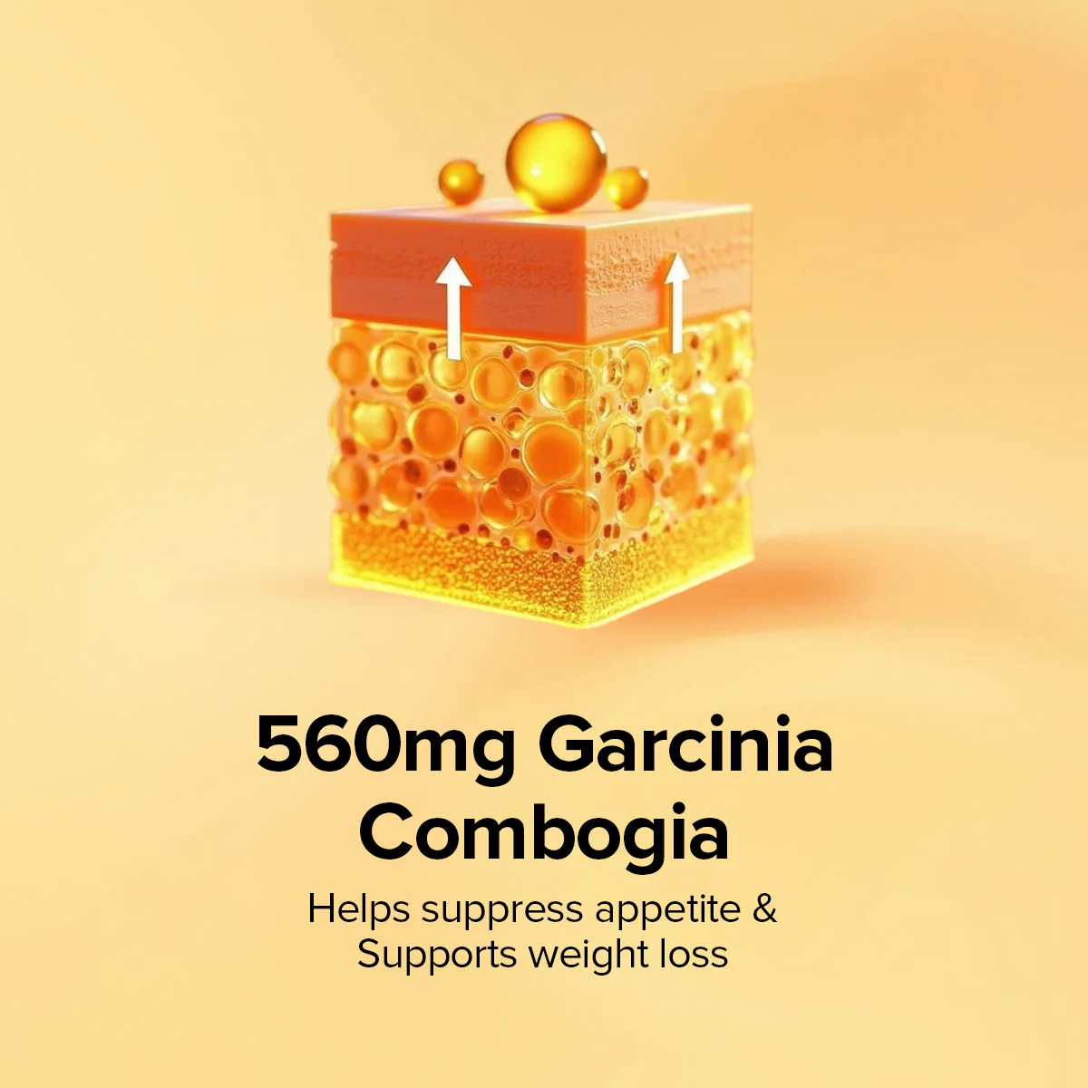 GNC 100% Whey + Keto Surge - Image 14