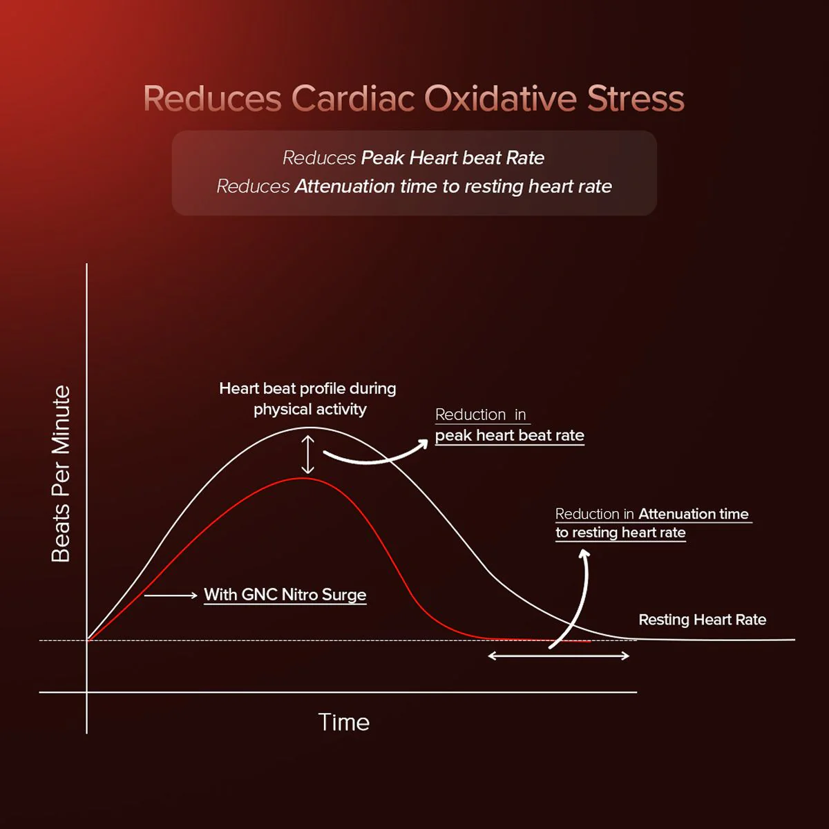GNC 100% Whey + Nitro Surge - Image 5
