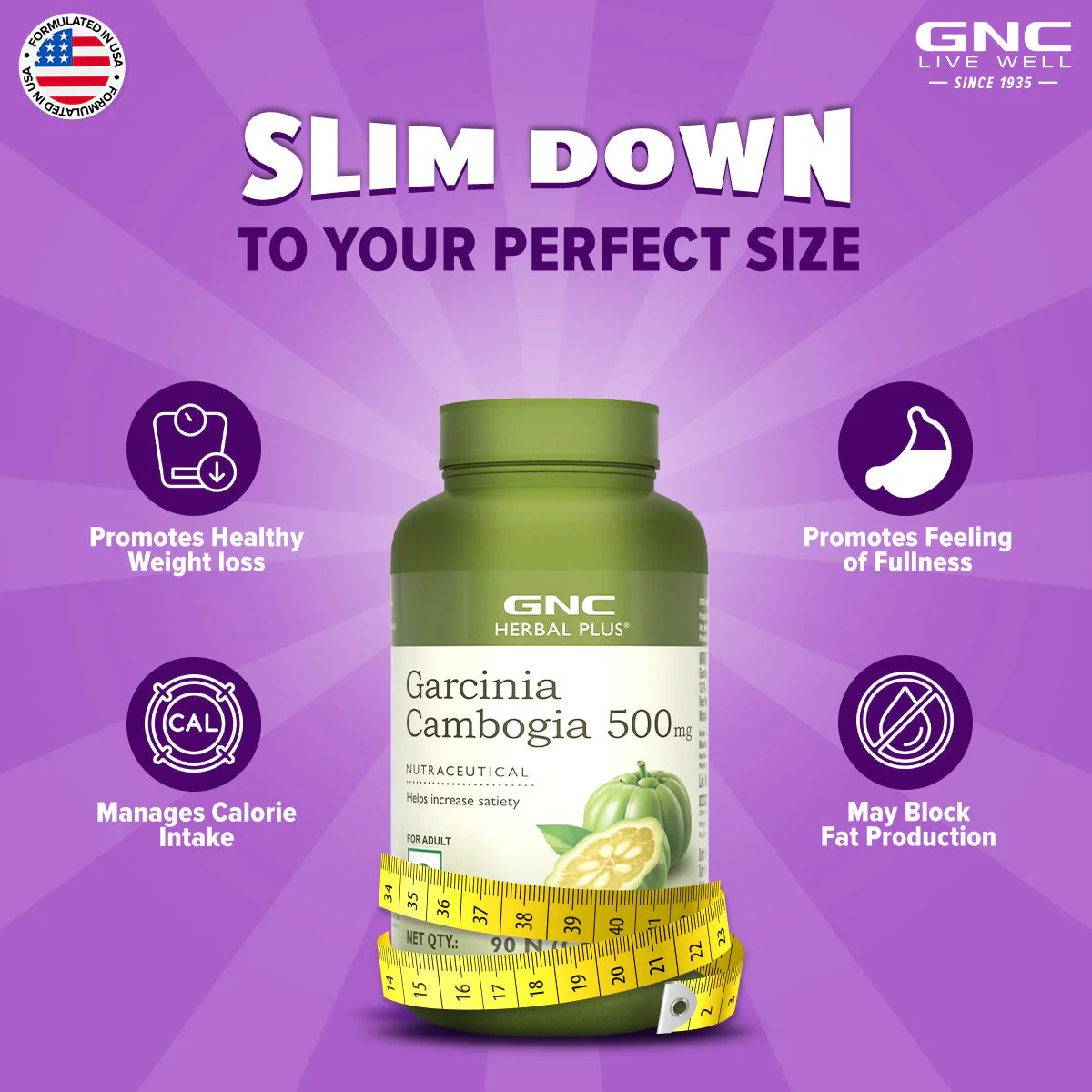 Garcinia Cambogia - Image 4