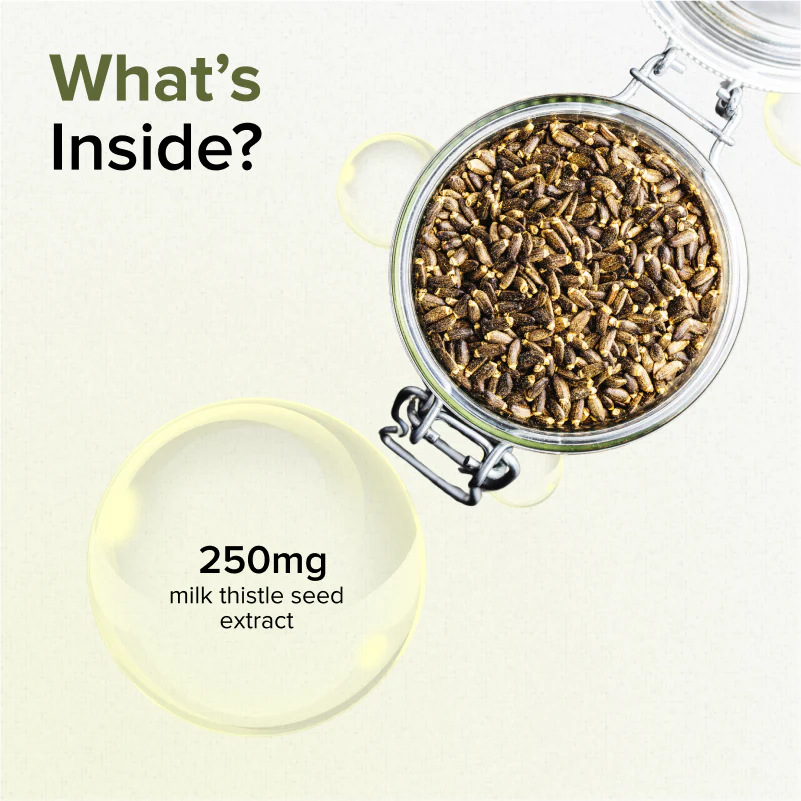 GNC Herbal Plus Milk Thistle - 250mg - Image 4