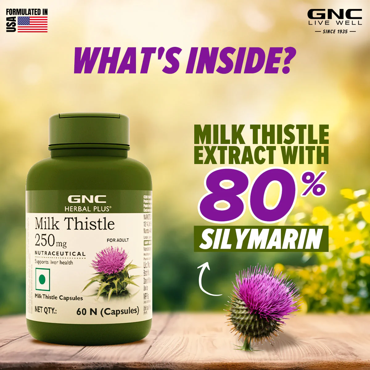 Milk Thistle - Image 6