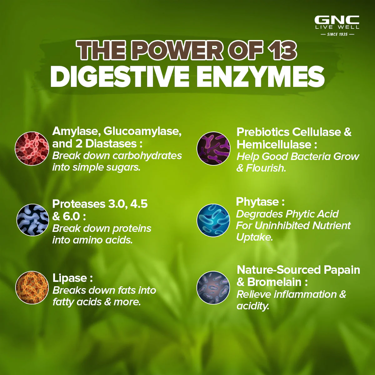GNC Natural Brand Super Digestive Enzymes - Image 4
